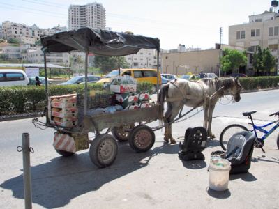 Kudüs Gezisi (1432-2011) El Halil, fotoğraf 28