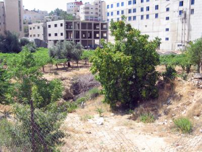 Kudüs Gezisi (1432-2011) El Halil, fotoğraf 29