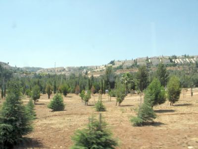 Kudüs Gezisi (1432-2011) Filistin Genel, fotoğraf 16