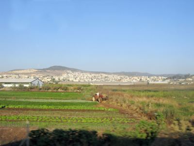 Kudüs Gezisi (1432-2011) Filistin Genel, fotoğraf 37