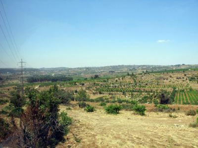 Kudüs Gezisi (1432-2011) Filistin Genel, fotoğraf 43