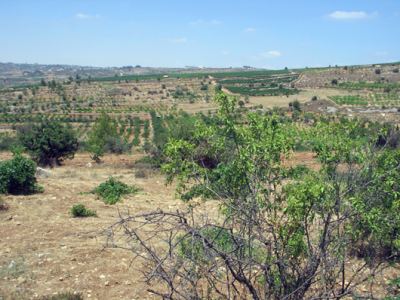 Kudüs Gezisi (1432-2011) Filistin Genel, fotoğraf 44