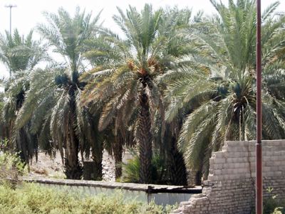 Medine 01, fotoğraf 19