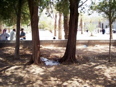 Medine 01, fotoğraf 22