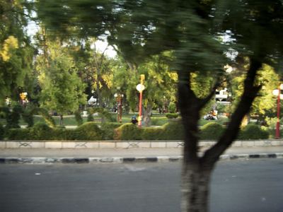 Hama, fotoğraf 23