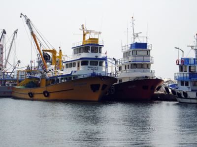 Armutlu, fotoğraf 7