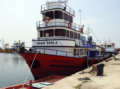 Armutlu, fotoğraf 20