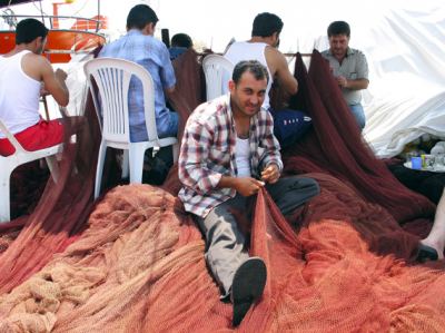 Armutlu, fotoğraf 22
