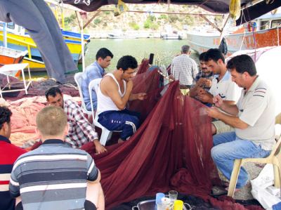 Armutlu, fotoğraf 23