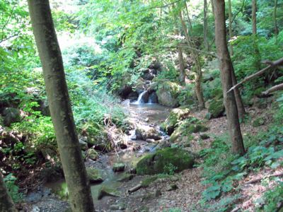 Akyazı, fotoğraf 7
