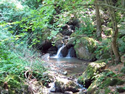 Akyazı, fotoğraf 8