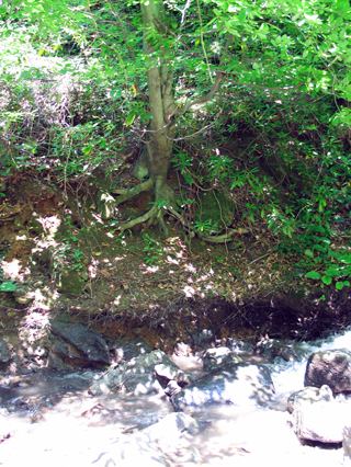 Akyazı, fotoğraf 19