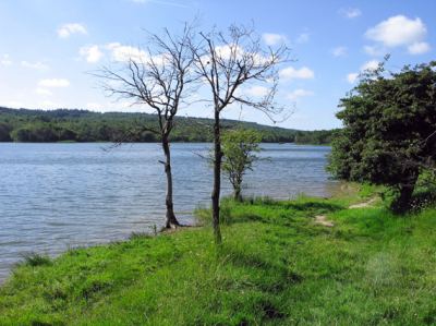 Arnavutköy, fotoğraf 1