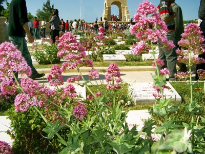 Çanakkale, fotoğraf 3