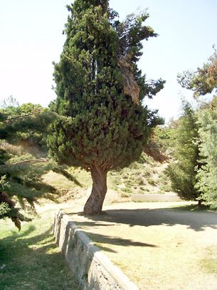 Çanakkale, fotoğraf 21