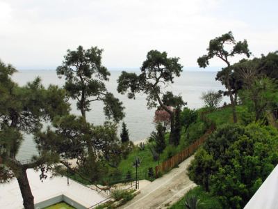 Tabiat, fotoğraf 1