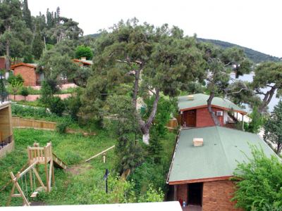 Tabiat, fotoğraf 2