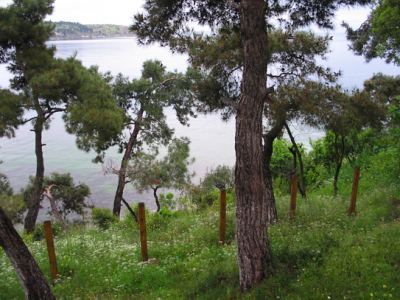 Tabiat, fotoğraf 3