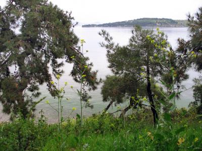 Tabiat, fotoğraf 4