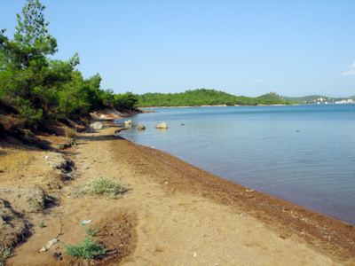 Tabiat, fotoğraf 8