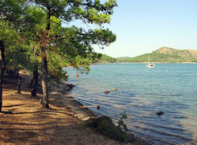 Tabiat, fotoğraf 15
