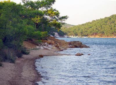Tabiat, fotoğraf 18