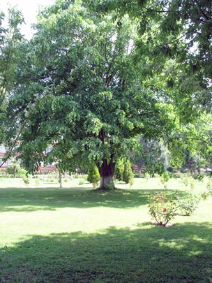 Tabiat, fotoğraf 22