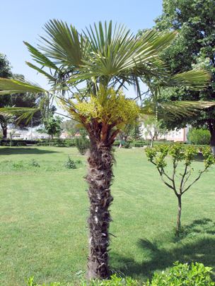 Tabiat, fotoğraf 23