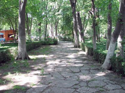 Tabiat, fotoğraf 26