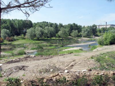 Tabiat, fotoğraf 27