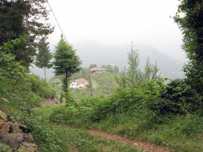 Trabzon Araklı, fotoğraf 1