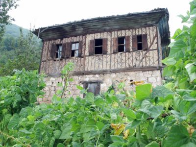 Trabzon Araklı, fotoğraf 13