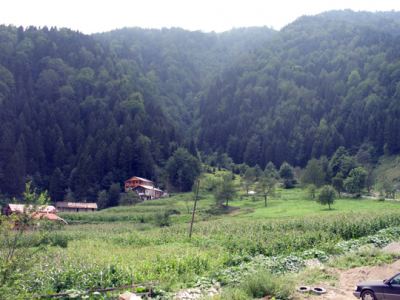 Uzungöl, fotoğraf 4