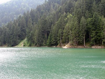 Uzungöl, fotoğraf 6