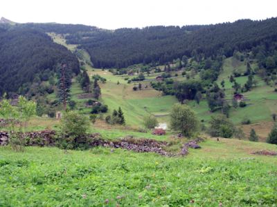 Uzungöl, fotoğraf 9