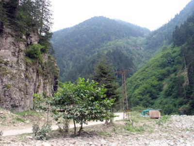 Uzungöl, fotoğraf 10
