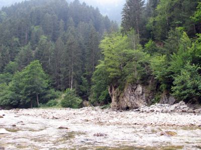 Uzungöl, fotoğraf 11