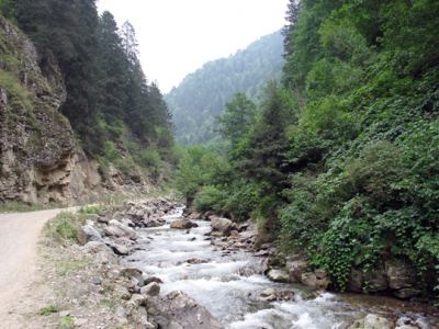 Uzungöl, fotoğraf 12