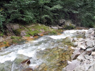 Uzungöl, fotoğraf 13