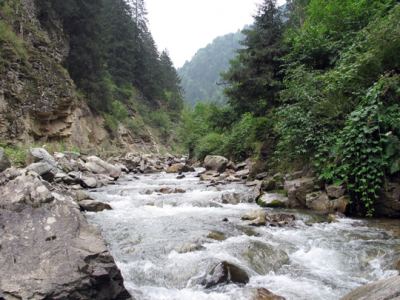 Uzungöl, fotoğraf 14
