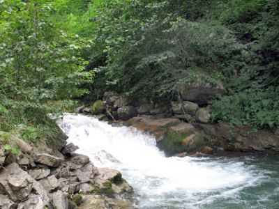 Uzungöl, fotoğraf 15