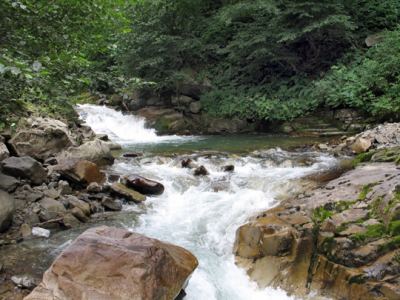 Uzungöl, fotoğraf 16