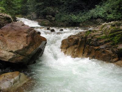 Uzungöl, fotoğraf 17