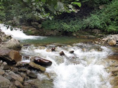 Uzungöl, fotoğraf 18