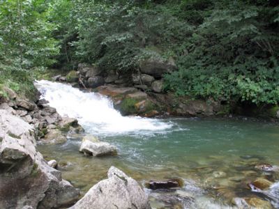 Uzungöl, fotoğraf 19