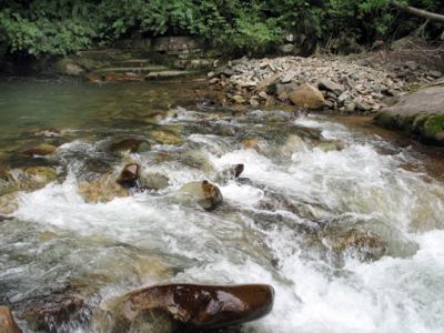 Uzungöl, fotoğraf 20