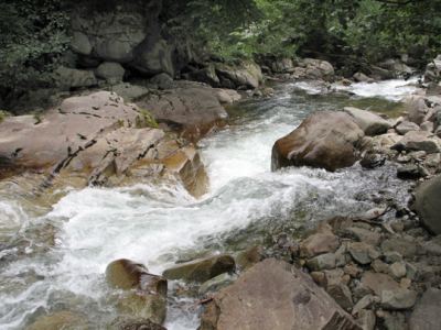 Uzungöl, fotoğraf 21
