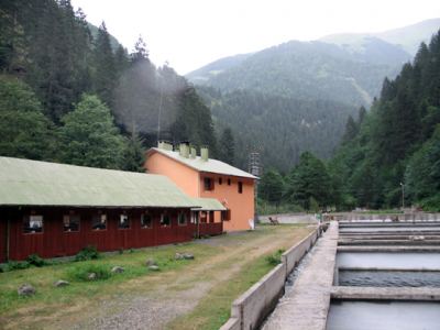 Uzungöl, fotoğraf 23