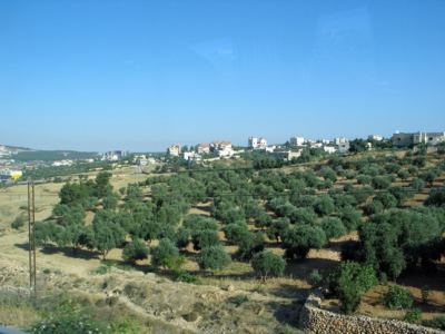 Kudüs Gezisi (1432-2011) Amman - 1, fotoğraf 7