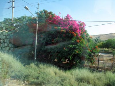 Kudüs Gezisi (1432-2011) Amman - 1, fotoğraf 15